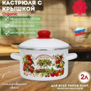 Кастрюля 2 л, эмалированная, Organic, 01-1610/4  /г. Магнитогорск/