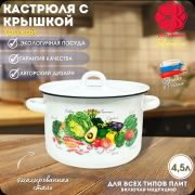 Кастрюля 4,5 л, эмалированная, Урожай, 01-1615/4 /г. Магнитогорск/