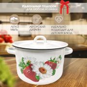 Кастрюля 3 л, эмалированная, Виктория, 01-1612/4 /г. Магнитогорск/